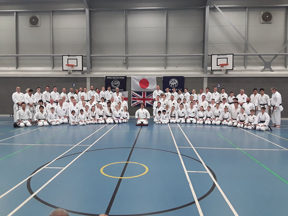 Rapport från Manchester