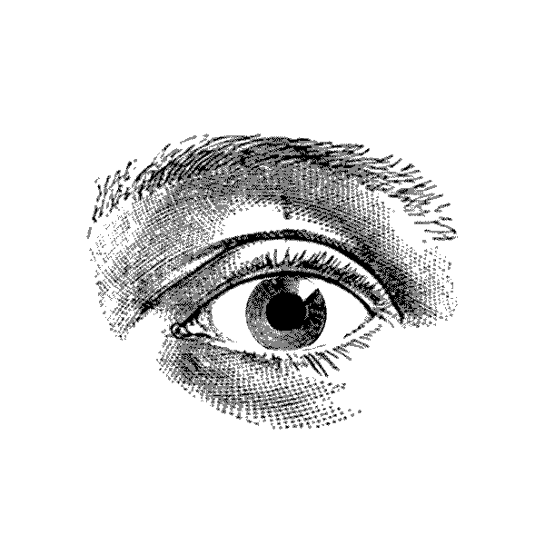 Khromis-Icon-1-1.gif
