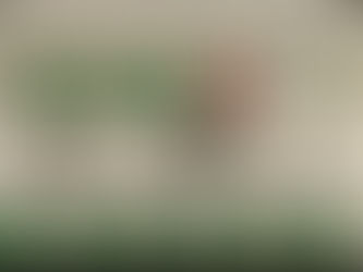 MAINTENANCE PREVENTIVE