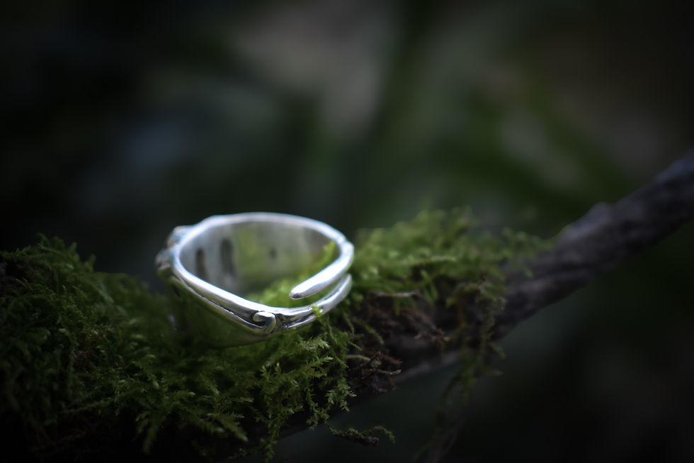 Miniature : Chevalière Miroir Alpin 8. 