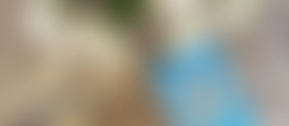 בונבוניירה במשקל נוצה