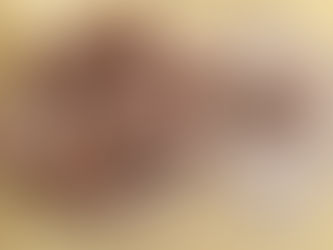 עוגת רוג’ר רביט