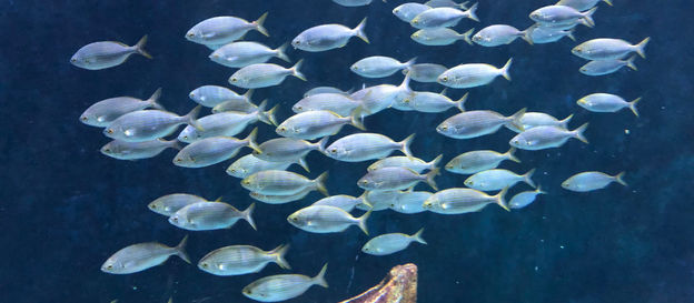 דברים שרואים משם, לא רואים מכאן