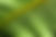 100_5416.JPG