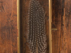 The Mystical Meaning Behind Finding Feathers: A Sign from the Universe?