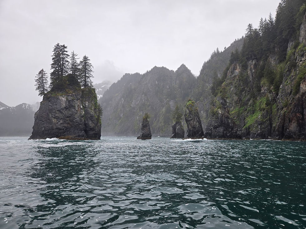 Spire Cove.jpg