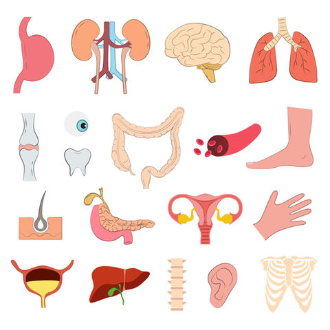 Onlinelæge og nogle artikler og blogs