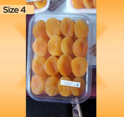 Size 4