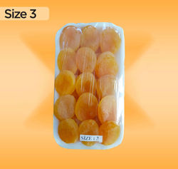 Size 3