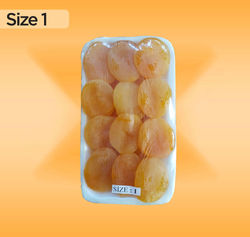 Size 1