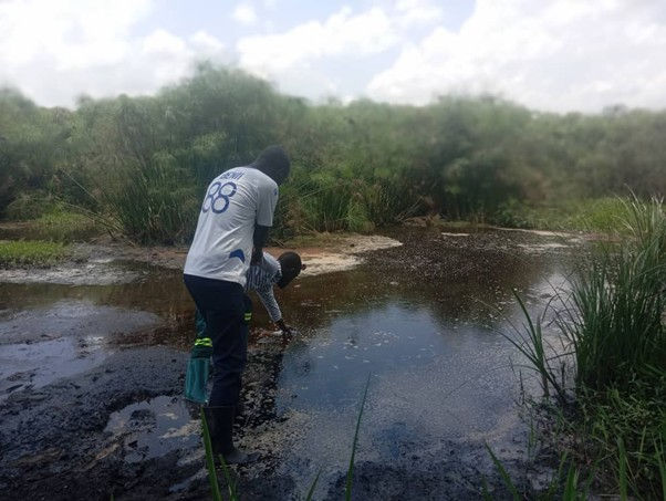 How Women Forced a Dying Swamp Back Into the Conversation
