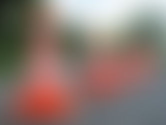 Second Roadworks Site to Begin Next Week on State Highway 2 Between Whakatāne and Tauranga