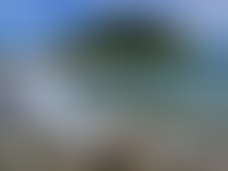 The sunny Bay of Plenty has been chosen as the next location to host the world’s top athletes, with Tauranga set to stage a series of World Triathlon events over the next three years.
