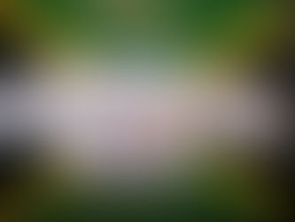 Class 2B Little ...But We Tallawah!!