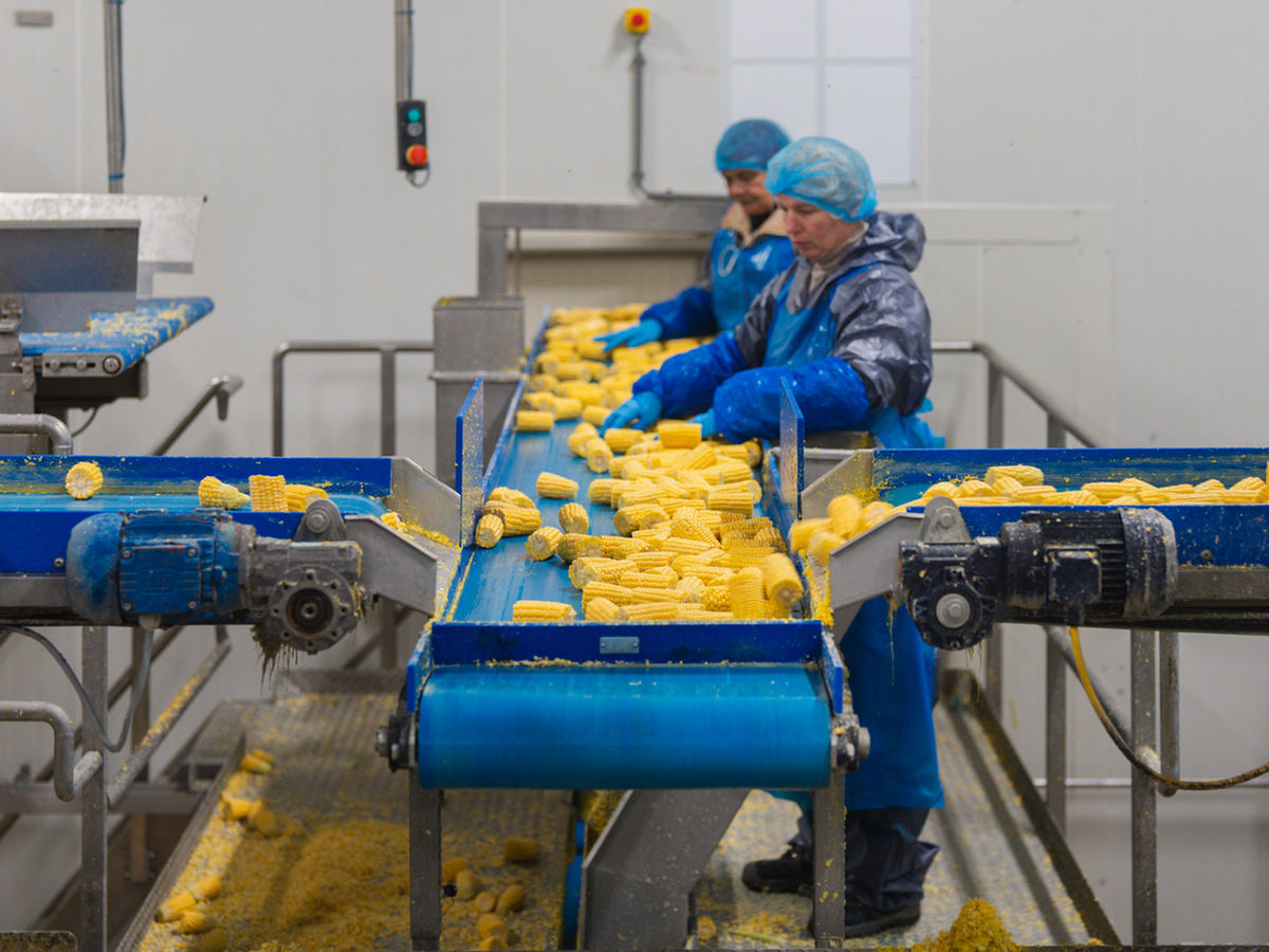 Werken bij Farm Pack, inpakoperator
