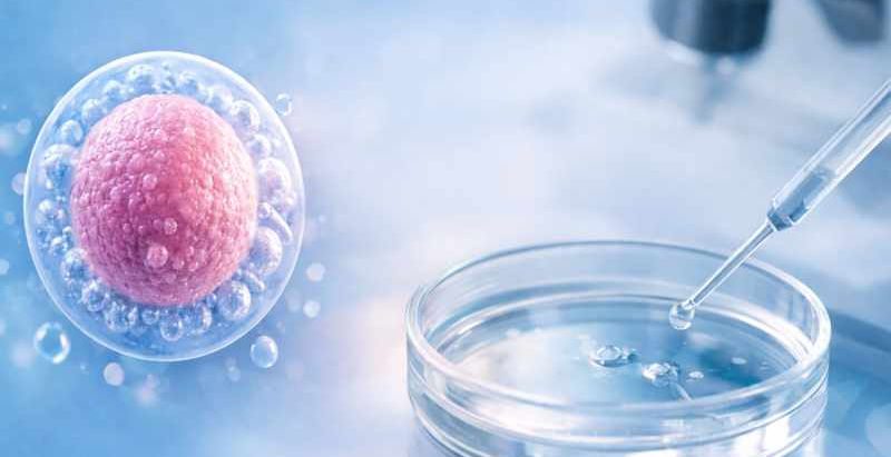 IVMとは?未成熟卵子体外成熟で実現する負担の少ない不妊治療
