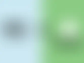 wix ou shopify que choisir