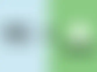 wix ou shopify que choisir