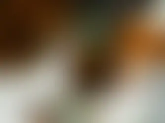 Est-ce que la tisane de romarin est dangereuse pour la santé ?