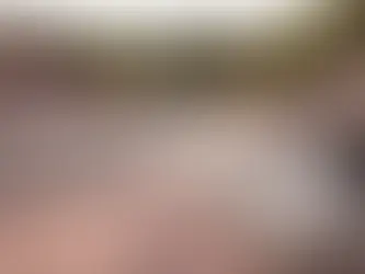 Vidauban, Provence: A Local Guide to What to See, Do & Experience