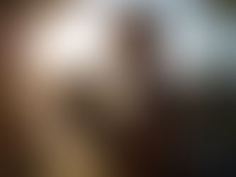 Renovation in Provence: A Strategic Choice