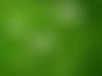 La berce commune : une plante bénéfique, mais des confusions mortelles !