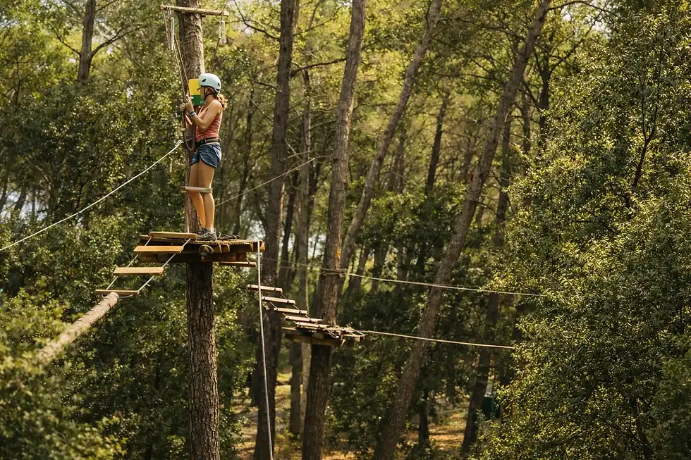 treetop adventure
