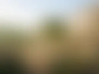 How to Design a Provençal Garden