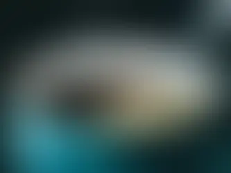 Est-ce que la tisane de mélisse fait dormir ?