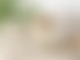 Quel collagène choisir ? Guide complet pour faire le bon choix