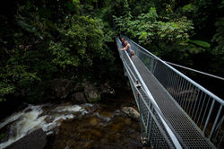 Mossman Gorge