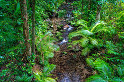 AdobeStock_441508652