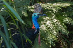 AdobeStock_107355459