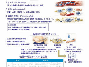 SMC Cell Level Beauty Program