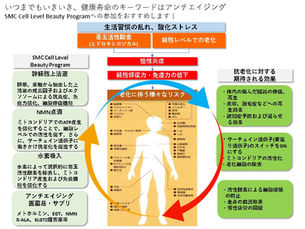 Cell Level Beauty Programのご紹介