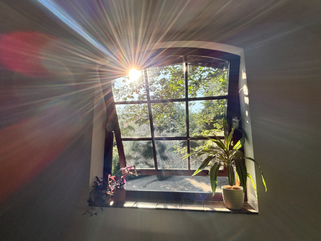 Noticing Patterns in Therapy: How Repeating Relationship Patterns Begin to Change