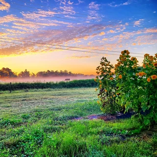 Sunrise