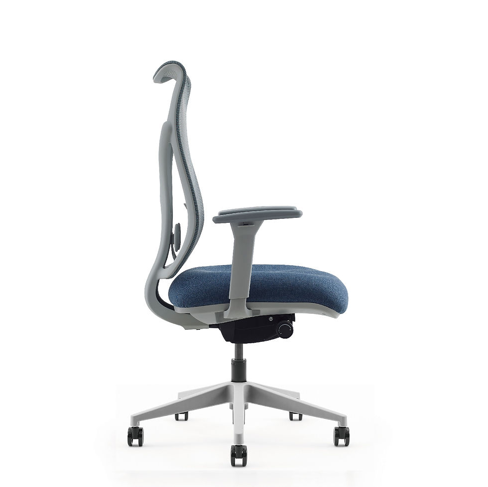 Thumbnail: Ergonomic Office Chair
