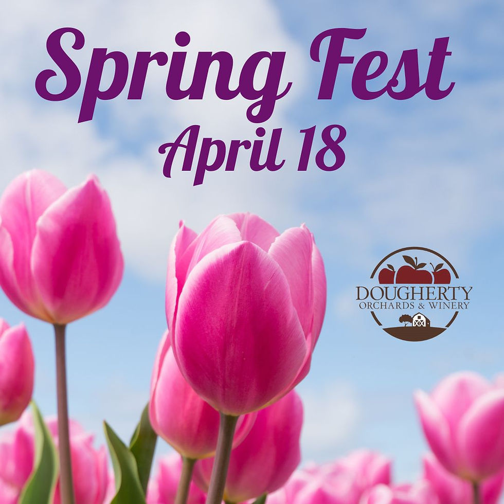 A closeup of a field of pink tulips with "Spring Fest April 18" and the Dougherty Orchards and Winery logo