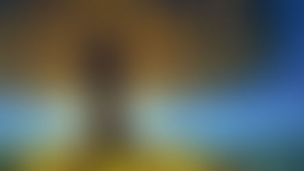 Anne Barth, les Chevaux, et l'Arbre de l'Enfance