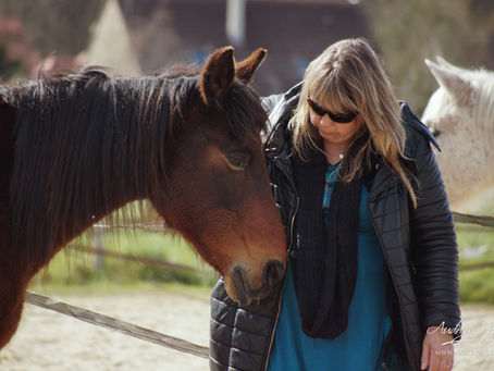 Formation 4 au 6 JUIN 2021: préparer et éduquer vos chevaux pour la médiation équine 