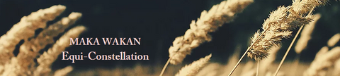 Equi-constellations avec Christine Dörr chez Maka Wakan