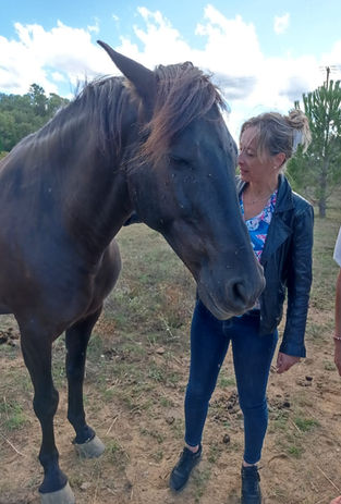 21 au 23 FEVRIER 2025 : Galope vers ta véritable nature ! Cheval et I.F.S. sur 3 jours près de Aix-en-Provence