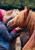 Du 1er au 4 MAI 2025 - Expérimenter la psychologie IFS* avec le cheval - Proche POITIERS