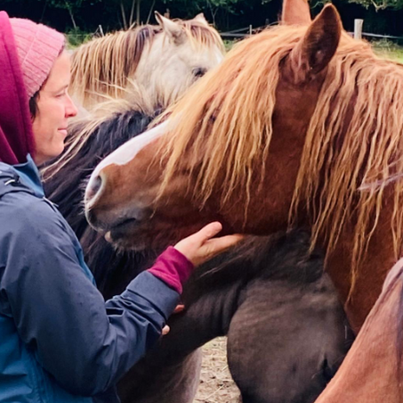 Du 1er au 4 MAI 2025 - Expérimenter la psychologie IFS* avec le cheval - Proche POITIERS