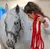 Focus on Elodie Hammiche / Le Cheval Enseignant ( The Horse as Teacher )