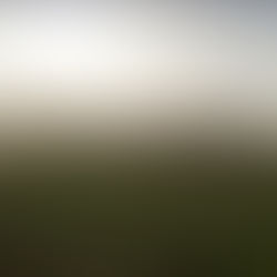 Cheval, explique moi comment bouge le vent ...