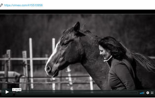 18 au 20 AVRIL 2025 : Galope vers ta véritable nature ( suite ) - Cheval et I.F.S. sur 3 jours près de Aix-en-Provence