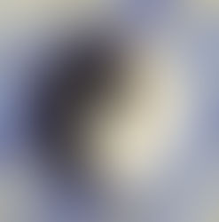 Since 2014, Sylvain Gillier is a certified Advanced Eponaquest Instructor POH and Master Herder.