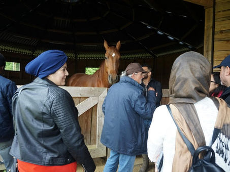 Sessions intégration de Nour, réfugié Syrien